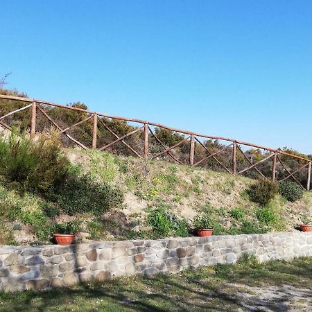 La Casa Gialla Belvedere Cortona Dış mekan fotoğraf